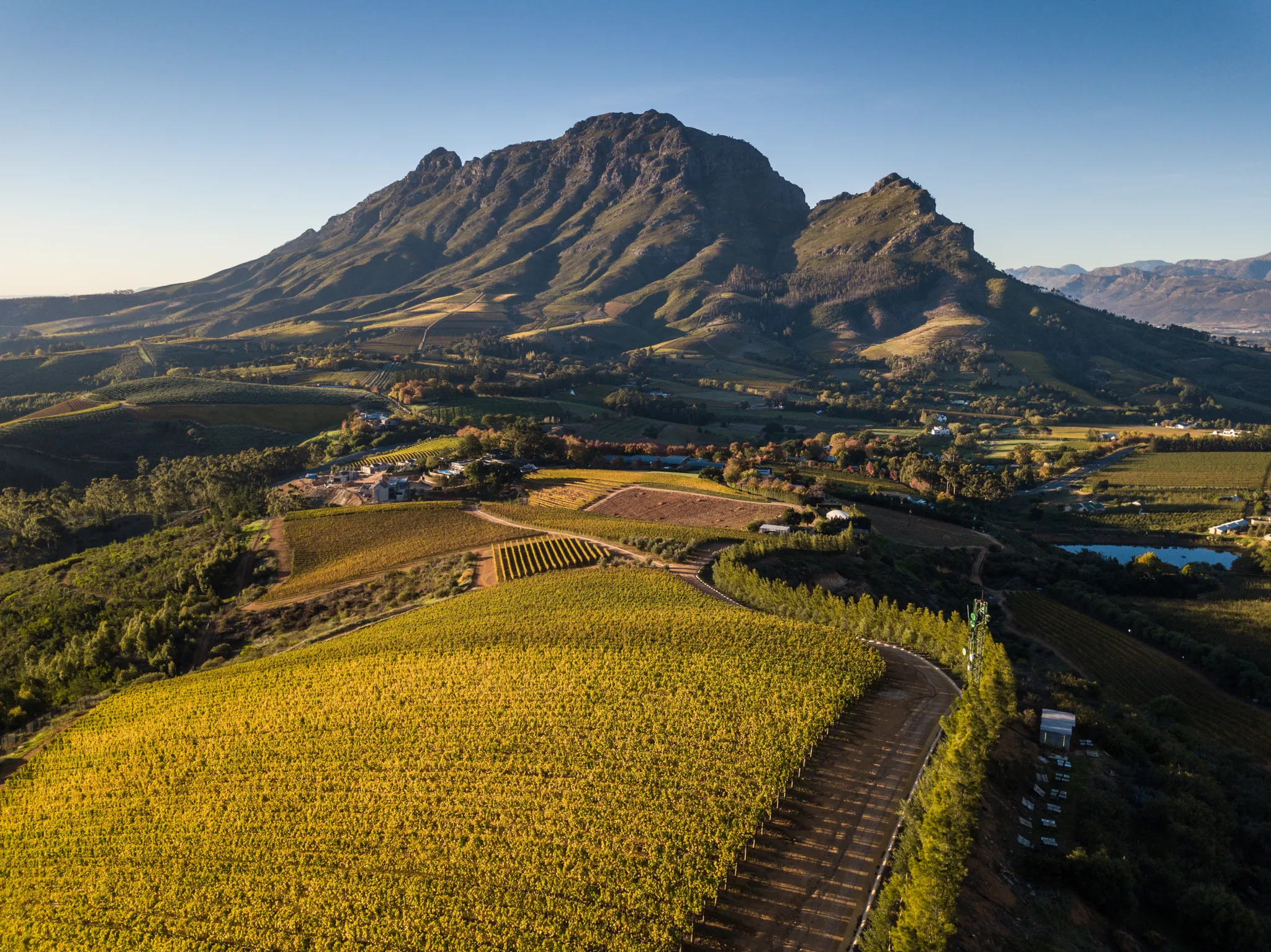 Delaire Graff Estate vineyards