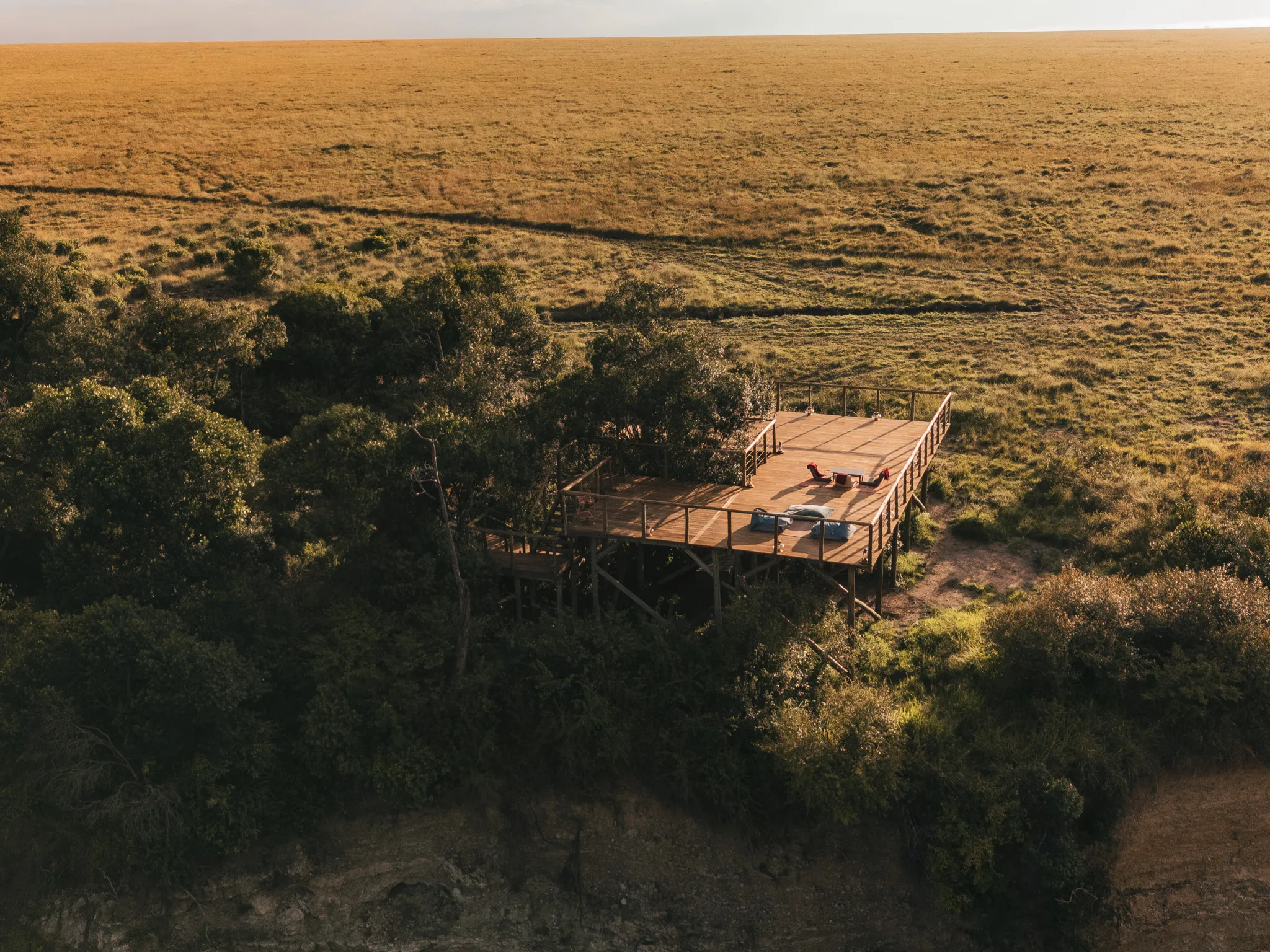The Observation Deck