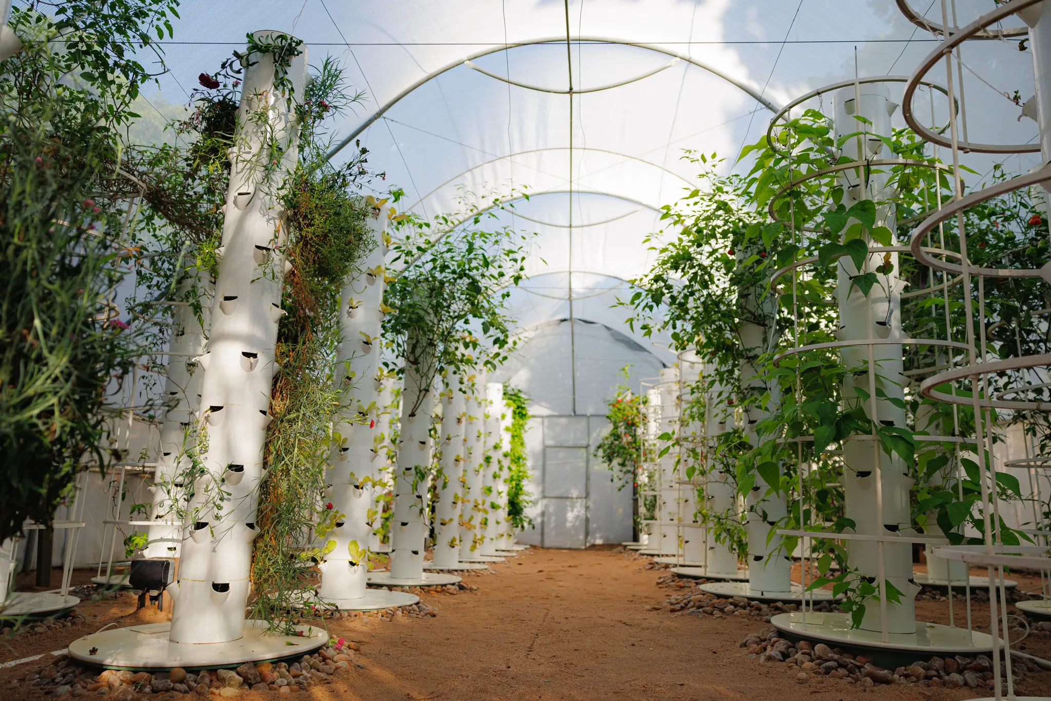 The Shamba of Goodness