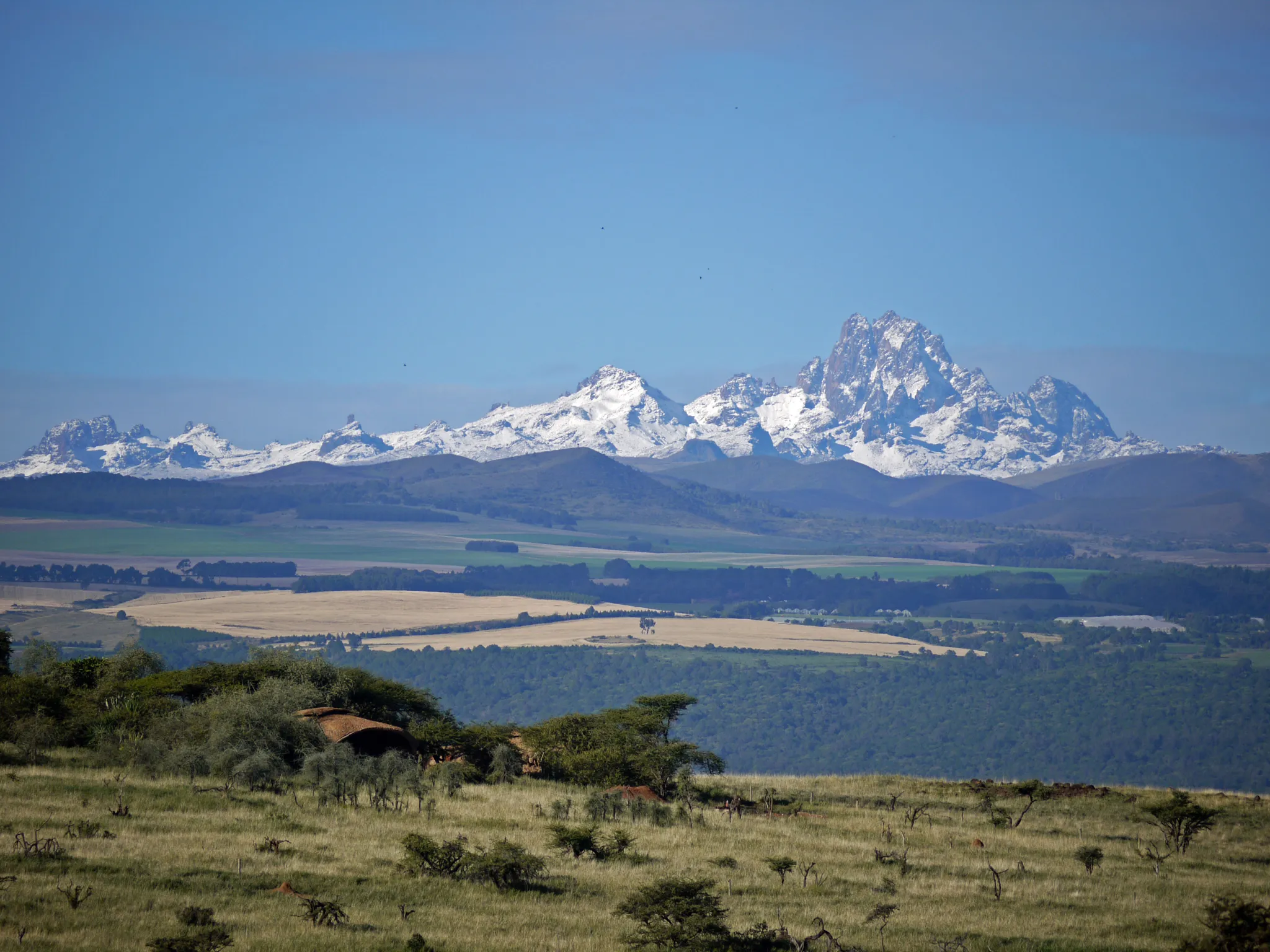 Mt Kenya