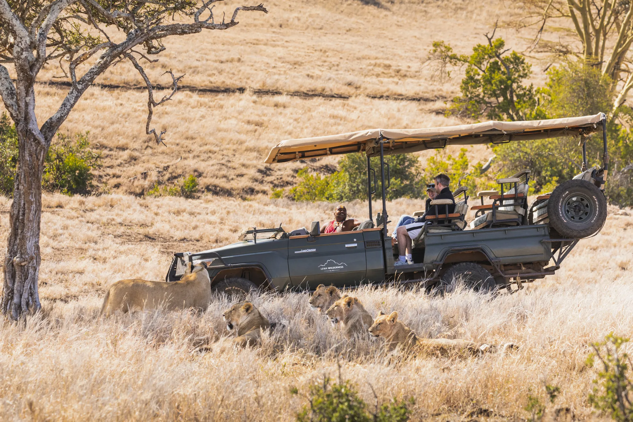 Game drive: electric safari car