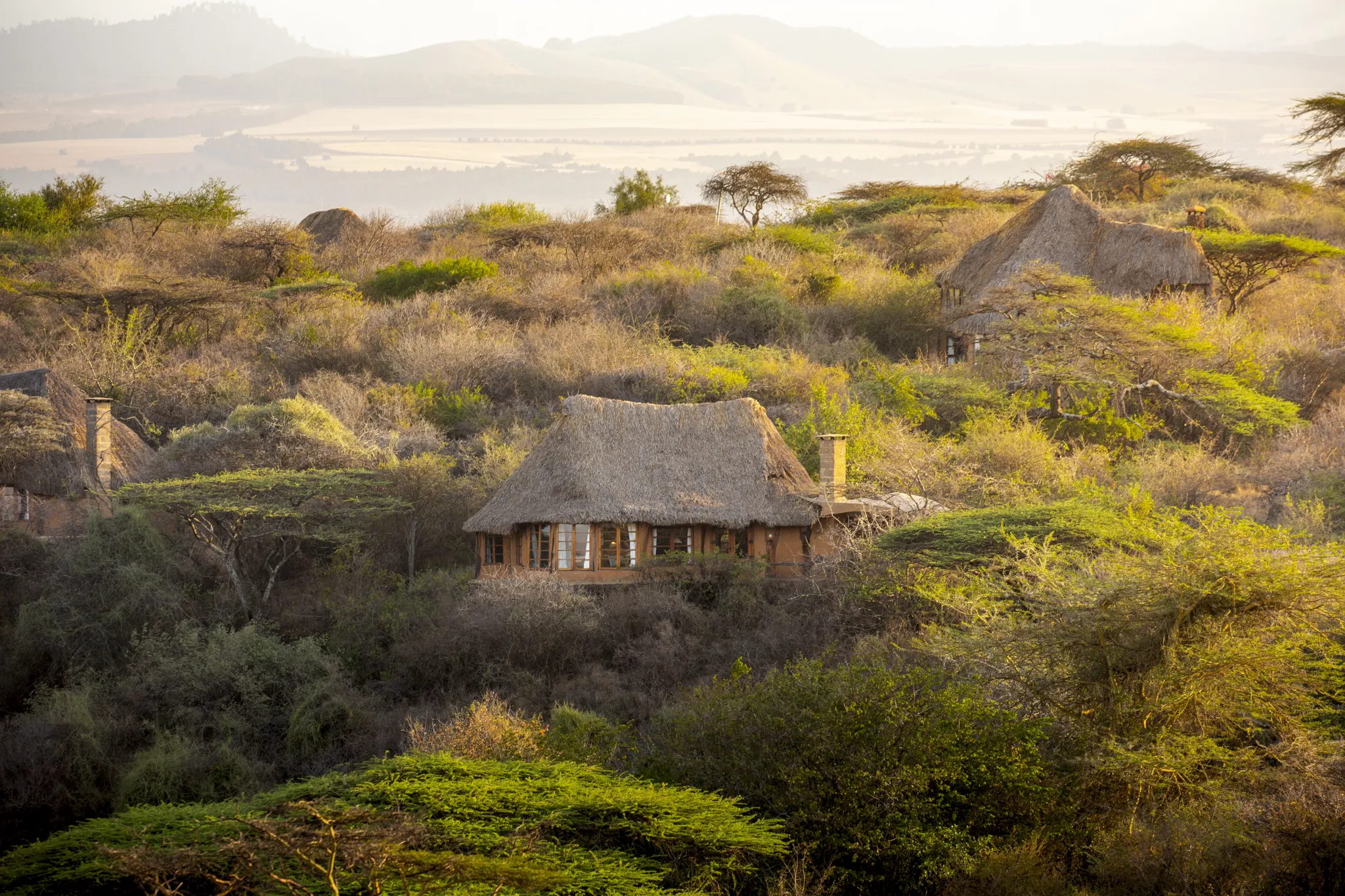 The Hillside Cottage