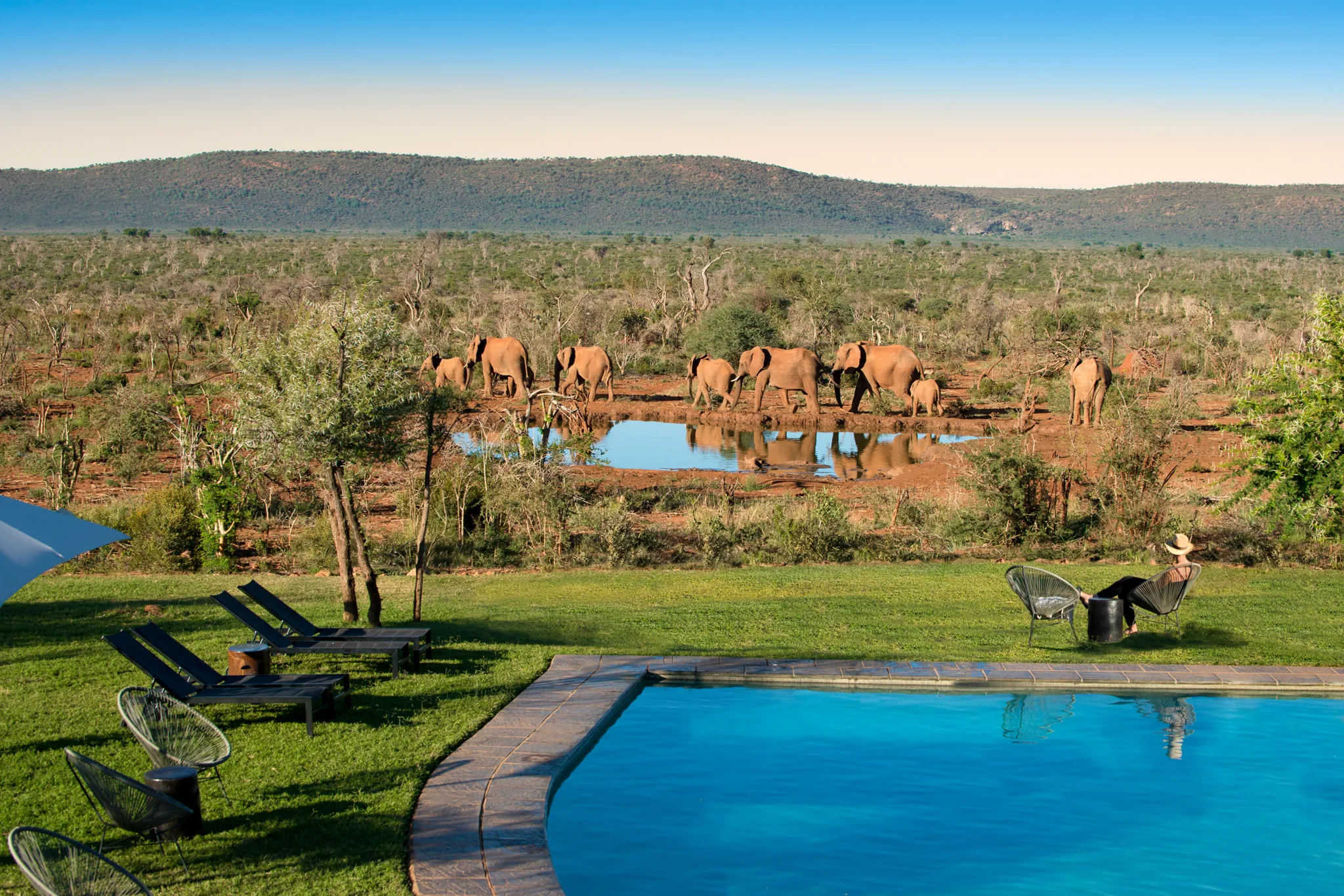 Lelapa Lodge - Guest pool view