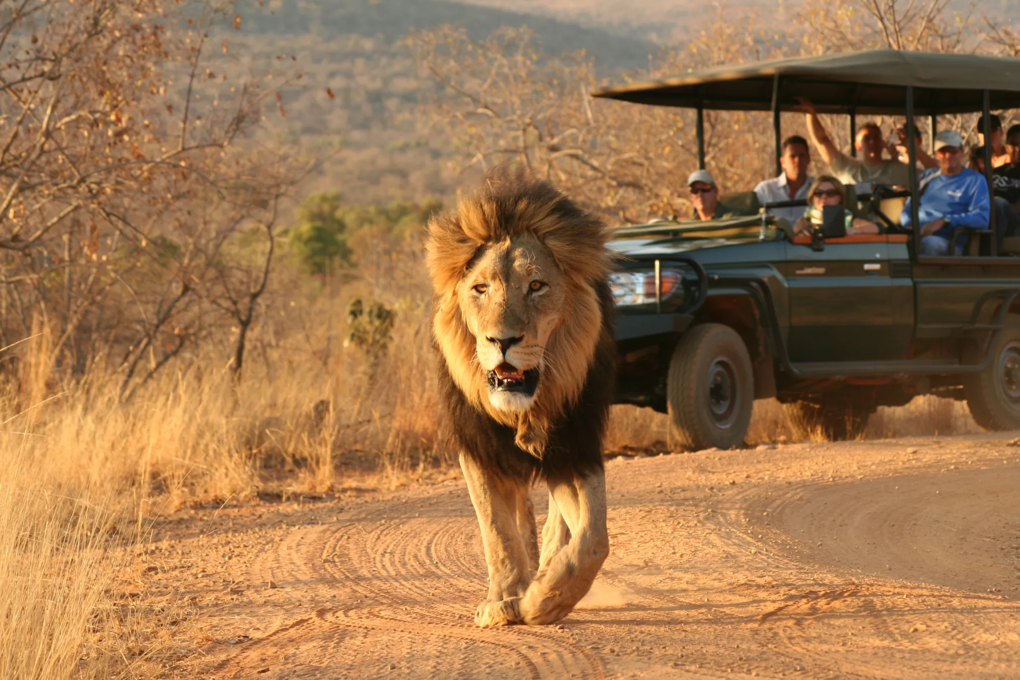 Boasting Africa's iconic big five: lion, leopard, elephant, rhino, buffalo and leopard