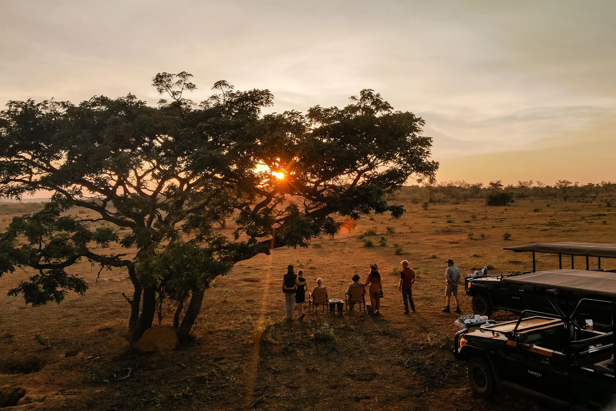 Sunrise Safari