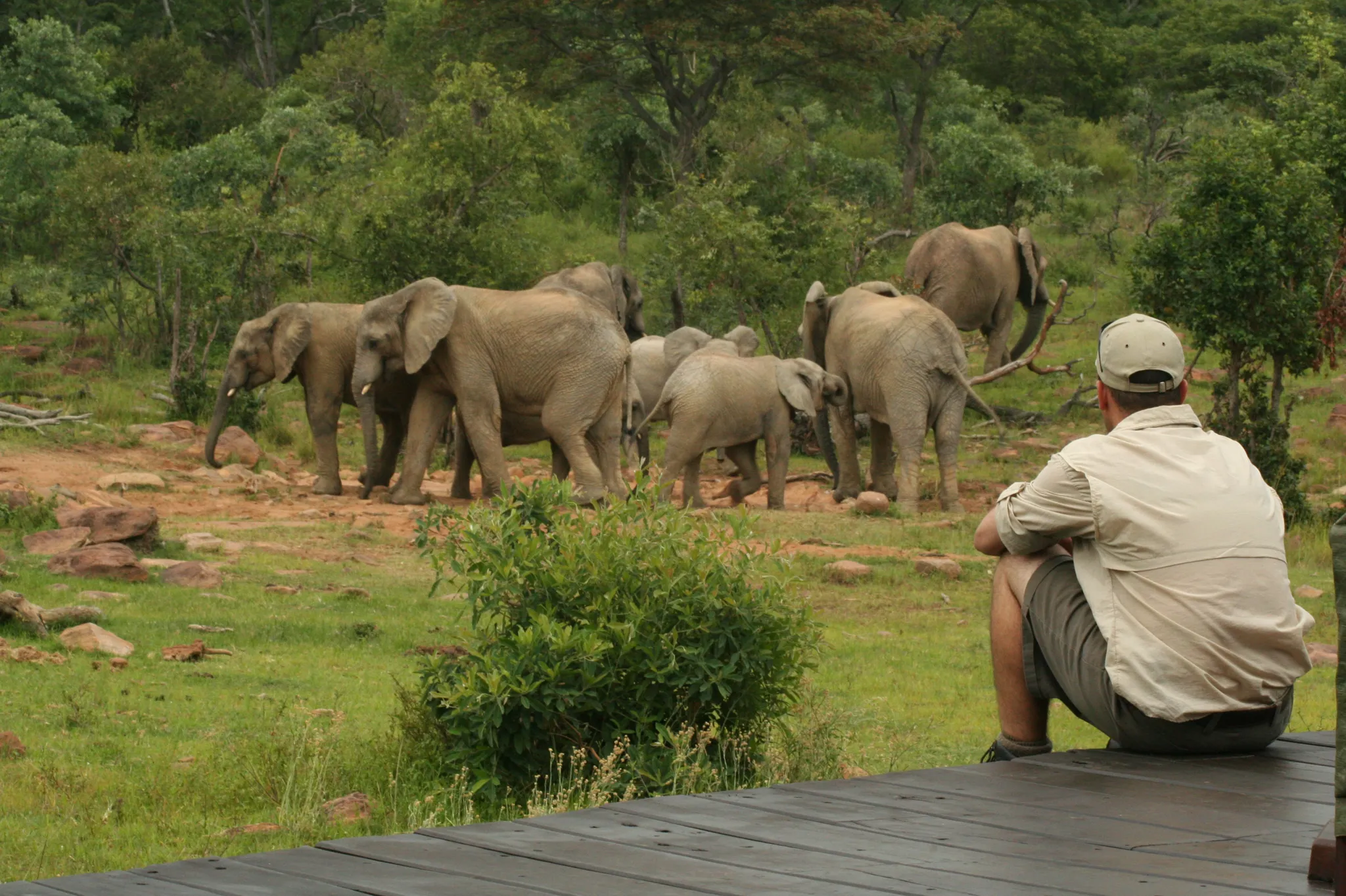 Views of the waterhole from the Indaba Lounge Deck