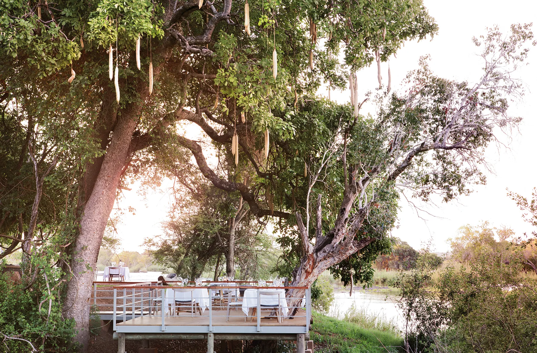 Sausage Tree Dining Deck