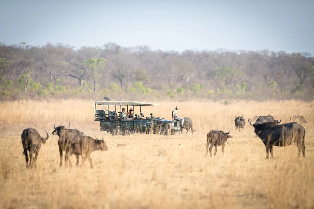 Matetsi Victoria Falls_Game Drive