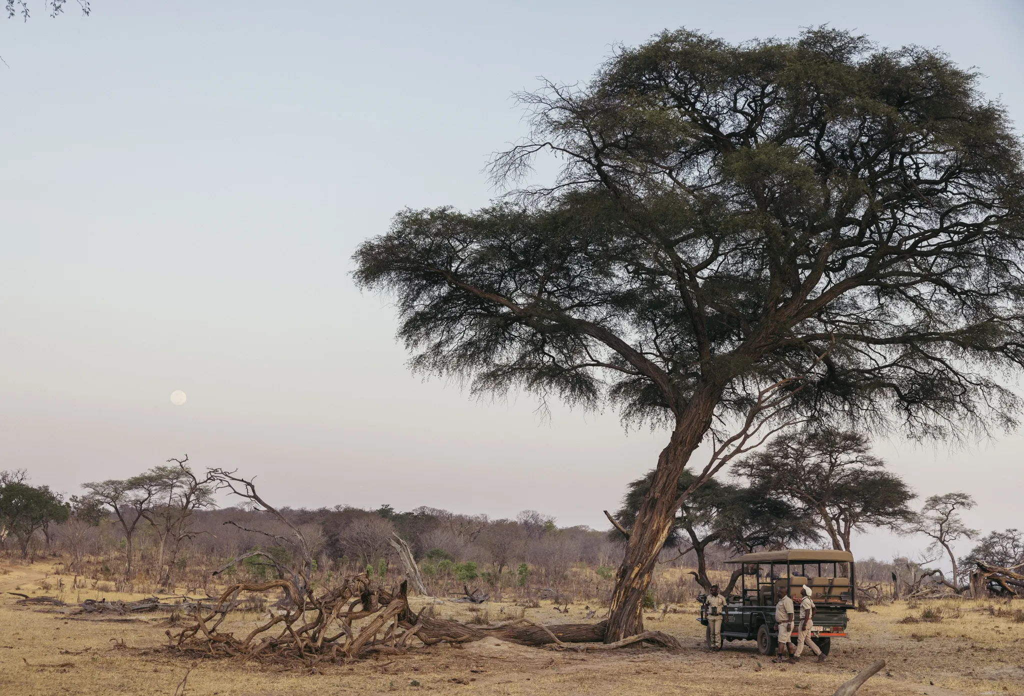 Matetsi Victoria Falls_Game Drive