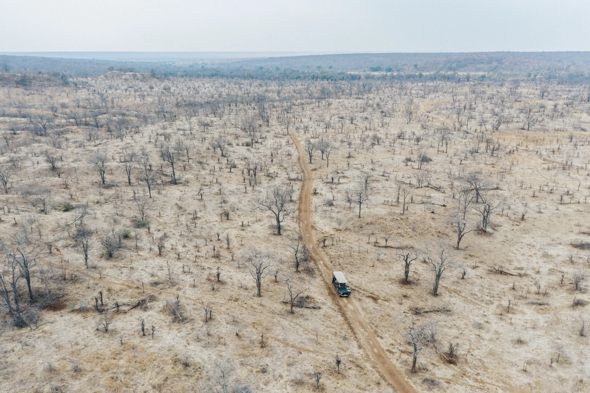 Matetsi Private Game Reserve