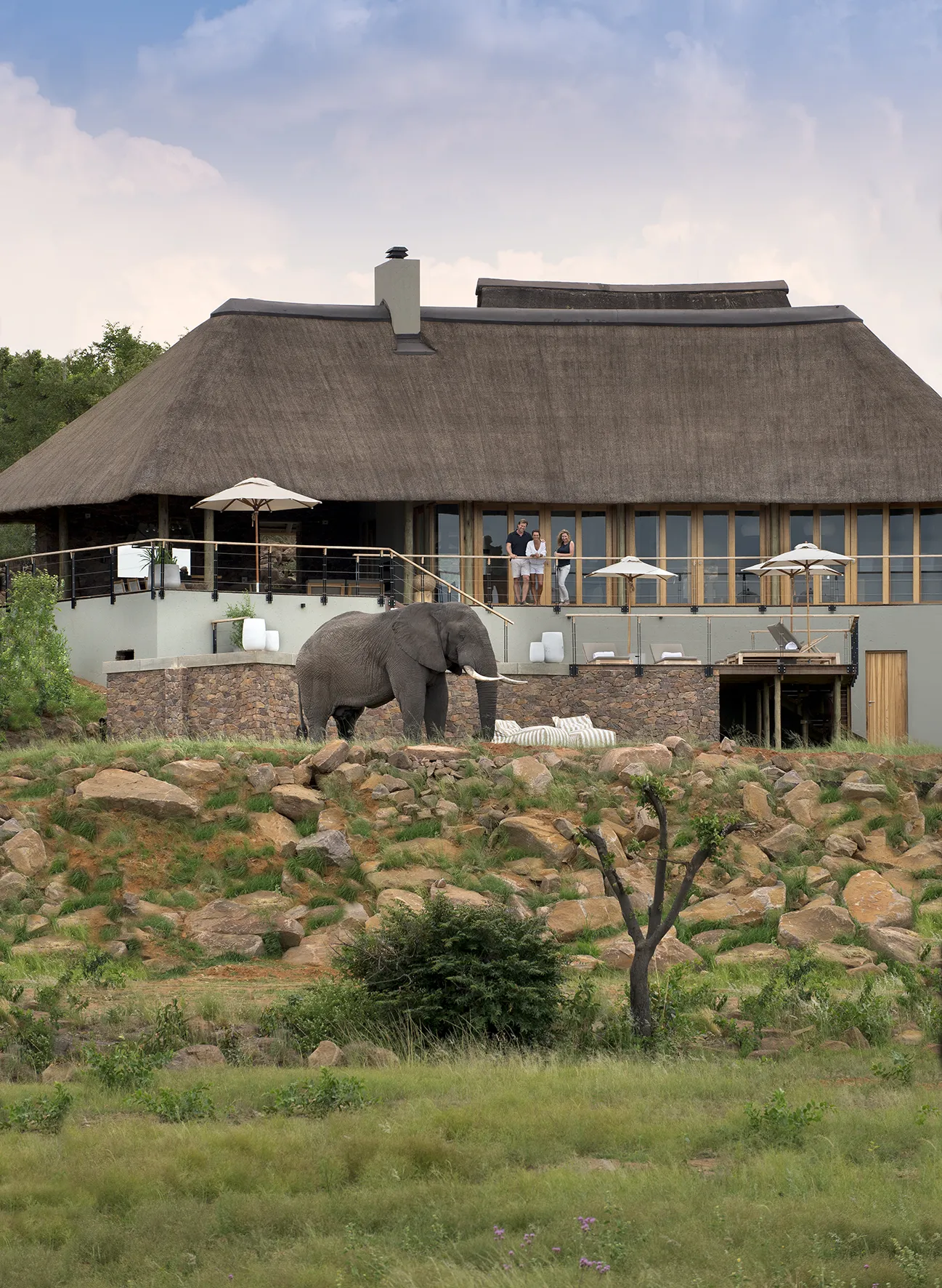 Mhondoro Safari Lodge and Villa