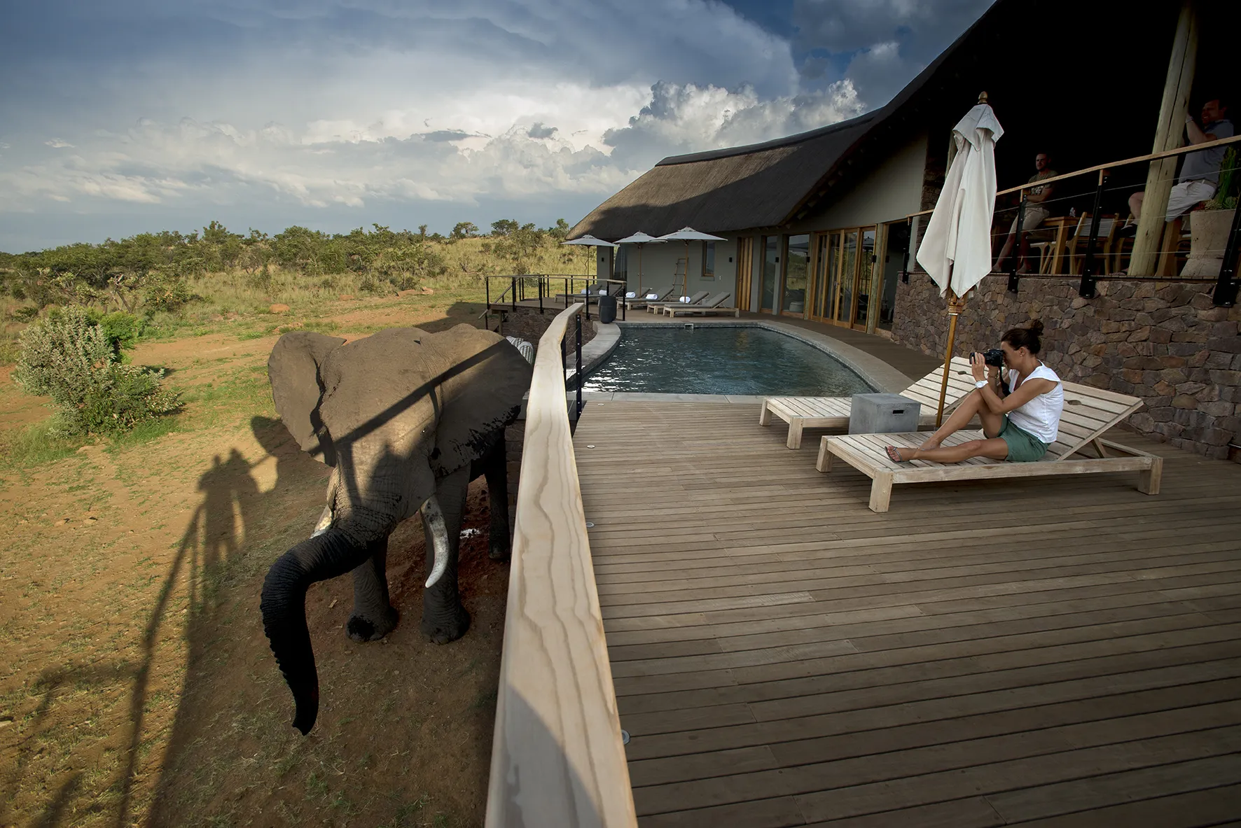 Mhondoro Safari Lodge and Villa