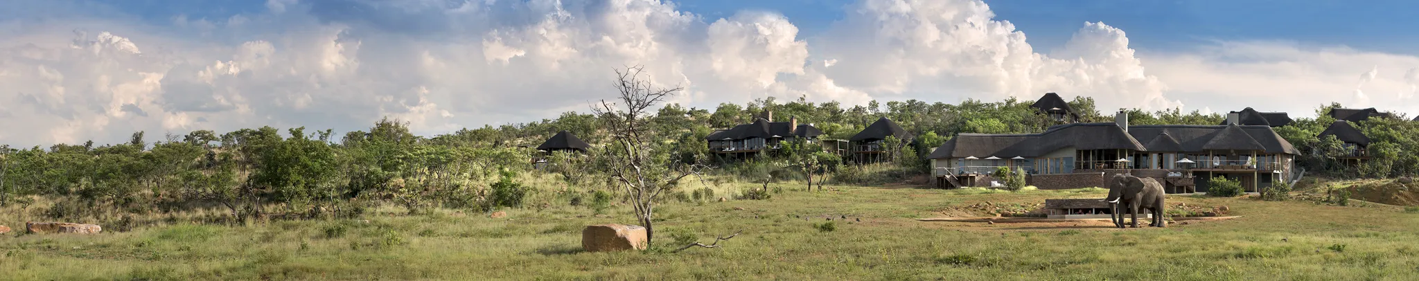 Mhondoro Safari Lodge and Villa