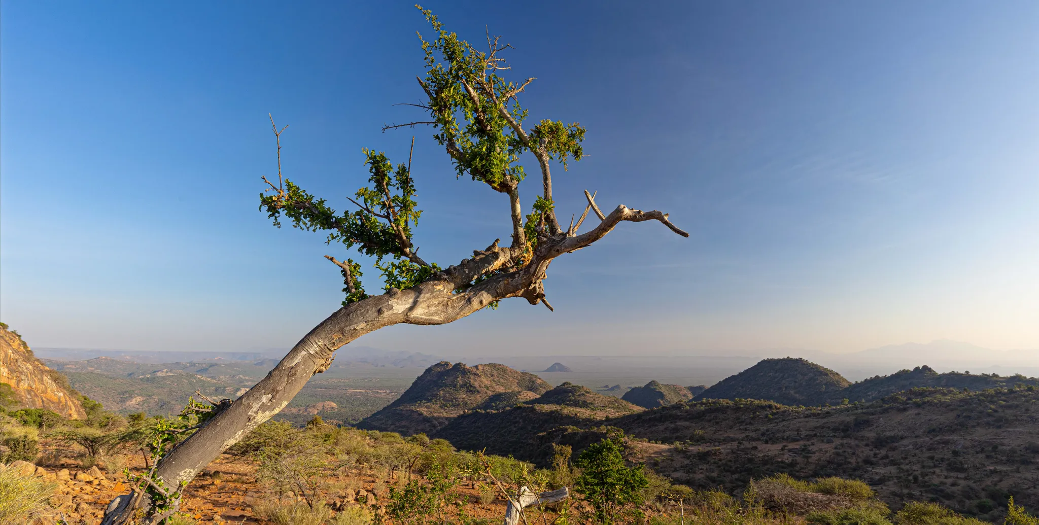 Ol Lentille conservancy