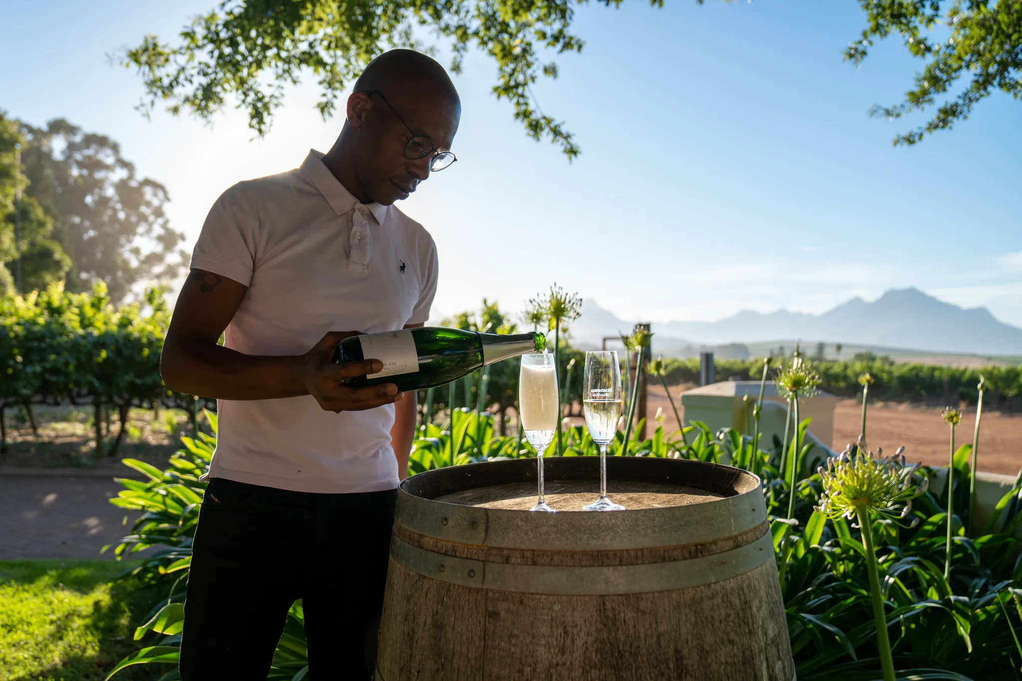 Winelands Experience